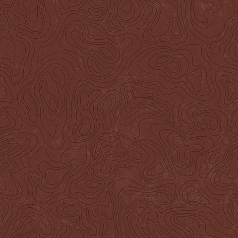 National Parks Topographic Brown Cotton Fabric