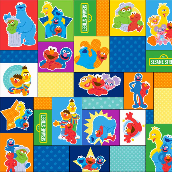Sesame Street <br> Character Blocks