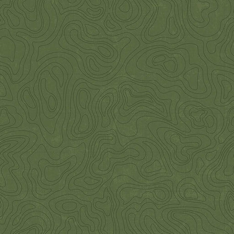 Green tone-on-tone print featuring lines of a topographical map