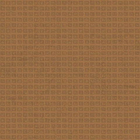 Brown tone-on-tone print with small images of park sign icons