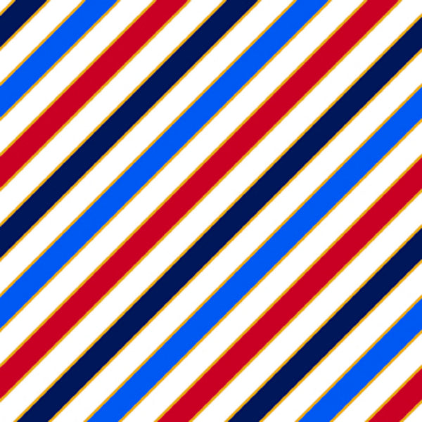 Proud & True <br> Diagonal Stripe