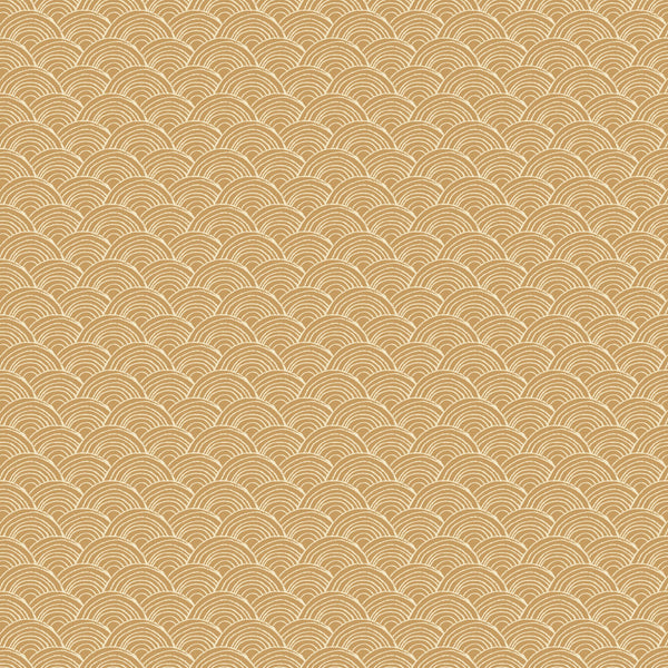 Reflections <br> Waves Tan