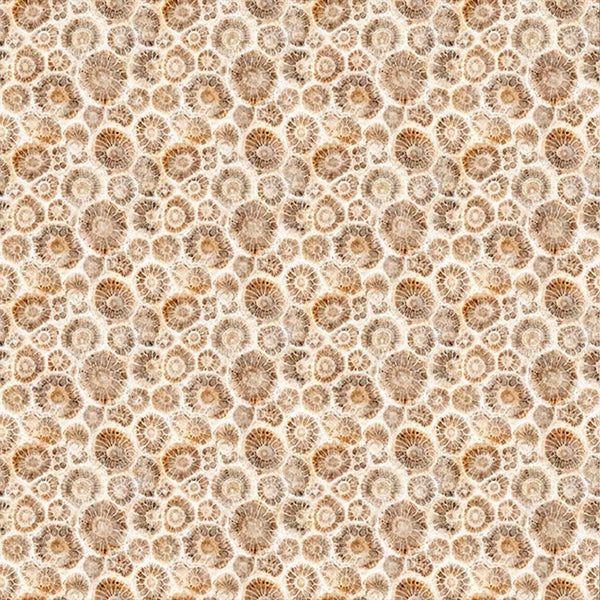 All Michigan Shop Hop 2026 <br> Petoskey Stones Tan
