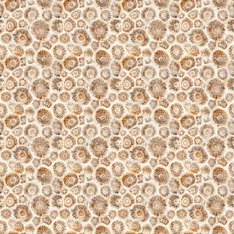 All Michigan Shop Hop 2026 <br> Petoskey Stones Tan