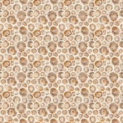 All Michigan Shop Hop 2026 <br> Petoskey Stones Tan
