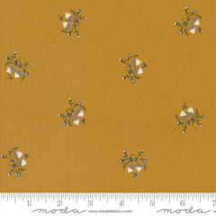 Enchantment <br> Little Acorn Caramel