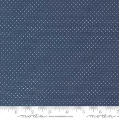 Enchantment <br> Swiss Dot Indigo