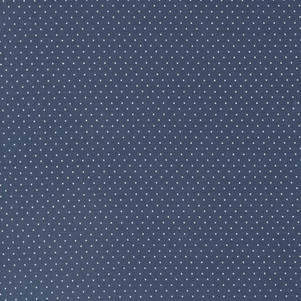 Enchantment <br> Swiss Dot Indigo