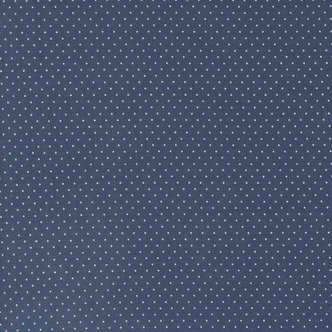 Enchantment <br> Swiss Dot Indigo