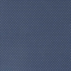 Enchantment <br> Swiss Dot Indigo