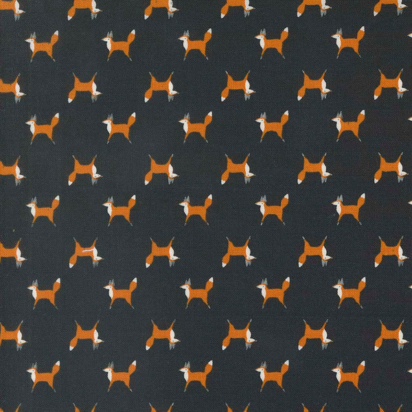 Woodland Wonder Fox Trot Midnight