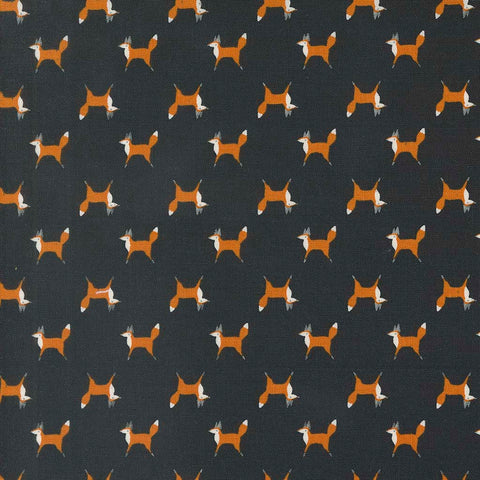 Woodland Wonder Fox Trot Midnight