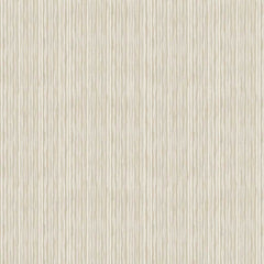 Fat Cat <br> Scratch Stripe Ivory