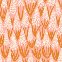 Endpaper <br> Muscari Bashful