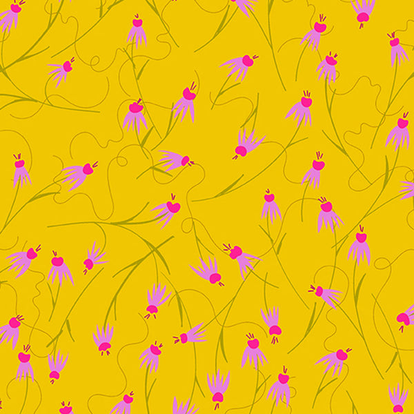 Wildflowers <br> Coneflowers Sunshine