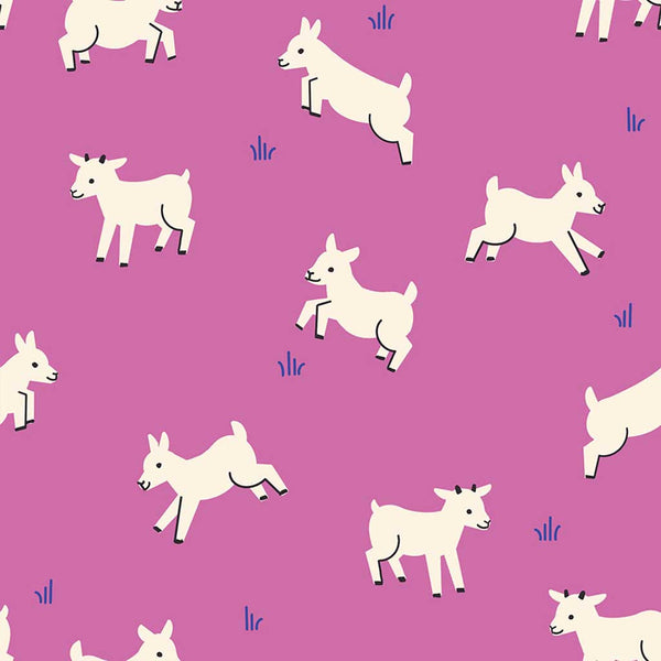 Animal Animal <br> Baby Goats Heliotrope