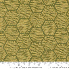 Hexagonal pattern with a textured green color with ruler