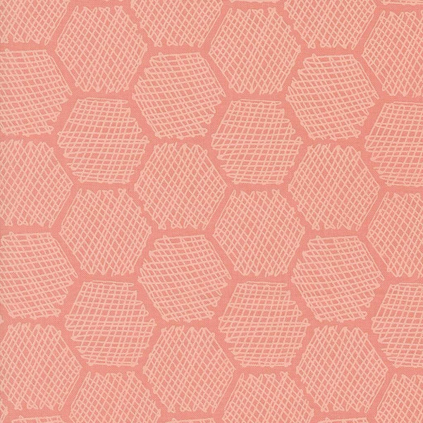 Bee Garden <br> Beehive Carnation