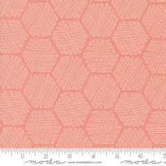 Hexagonal pattern with a textured surface in pink color with ruler