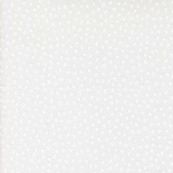 Botany <br> Seeds Paper White