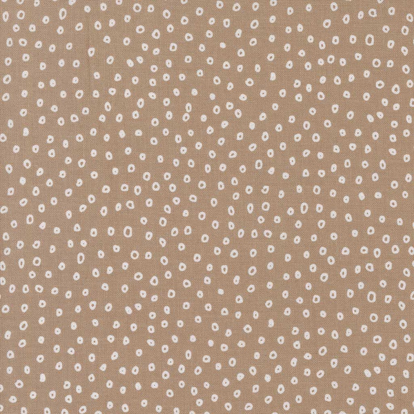 Botany <br> Seeds Earth