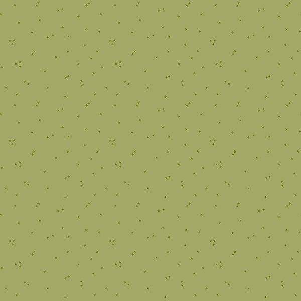 Primrose Hill <br> Seedling Olive
