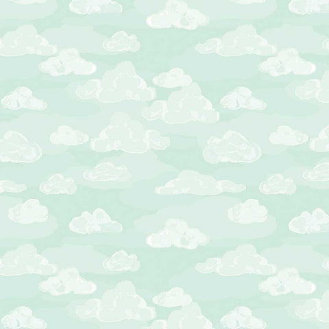 Wild and Free <br> Clouds Mint