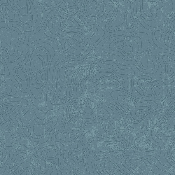 National Parks <br> Topographic Blue