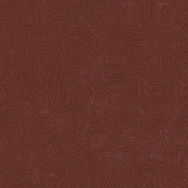 National Parks <br> Topographic Brown