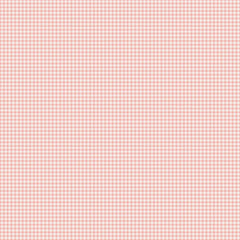 The Tale of Peter Rabbit <br> Gingham Coral