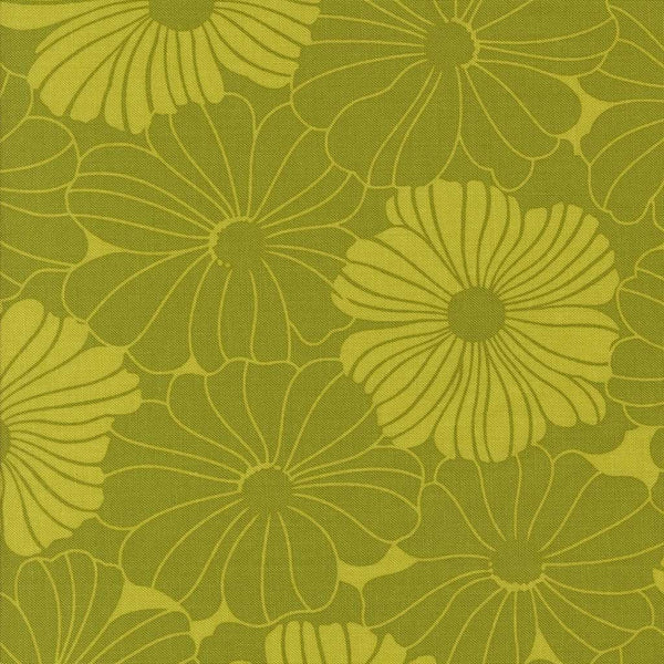 Color Crush <br> Bloom Zest