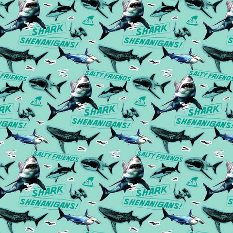Pattern of sharks and text on a light turquoise background