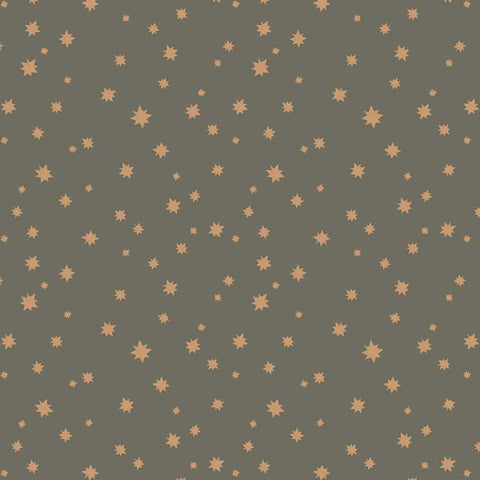 Pattern of small stars on a gray background