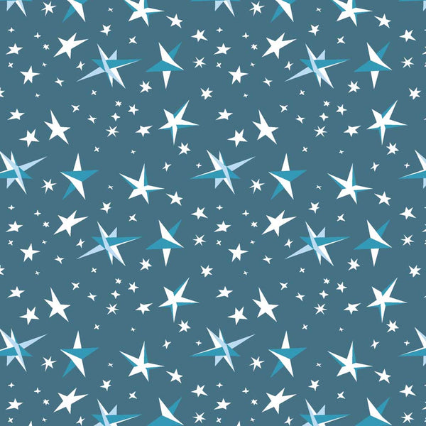 Goodnight Moon <br> Starry Night