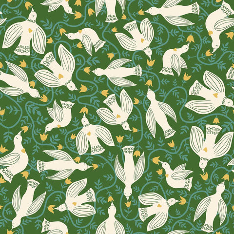 Endpaper <br> Hummingbirds Sarah Green