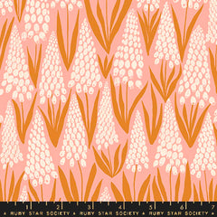 Endpaper <br> Muscari Bashful