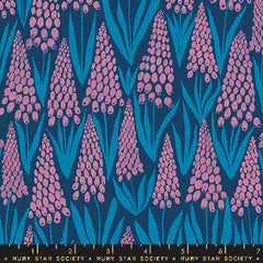 Endpaper <br> Muscari Bluebell