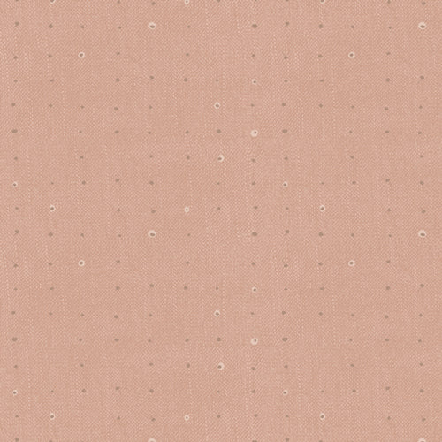 Seedling Seeds <br> Clay