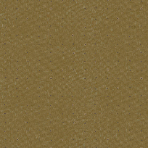 Seedling Seeds <br> Olive
