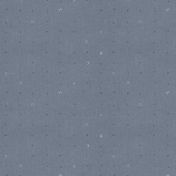 Seedling <br> Sky