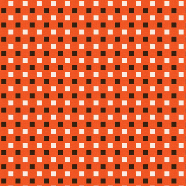 Sleepy Hollows <br> Quint Orange