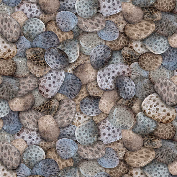 Michigan Shop Hop 2025 <br> Petoskey Stones