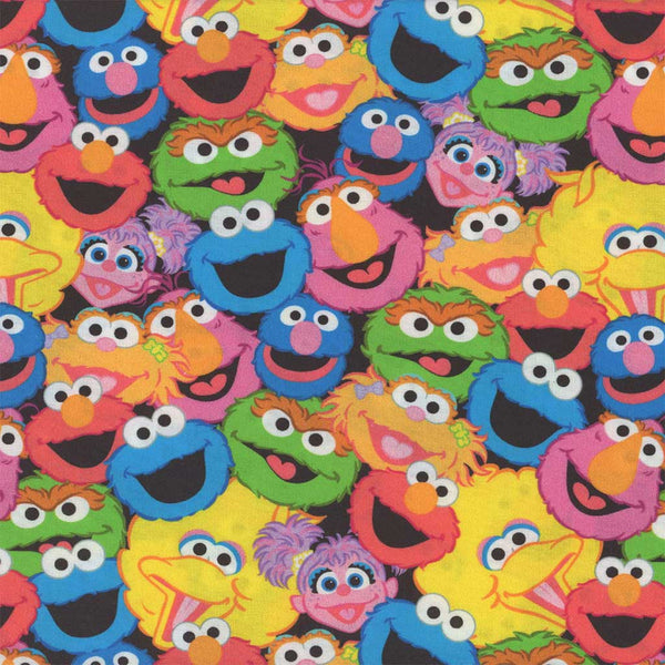 Sesame Street <br> Packed Characters Multi
