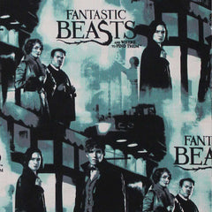 Fantastic Beasts - Characters Teal